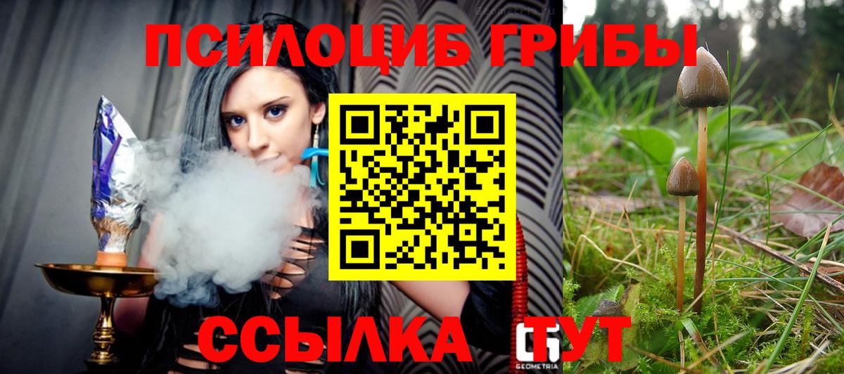 Псилоцибиновые грибы ЛСД Белая Калитва