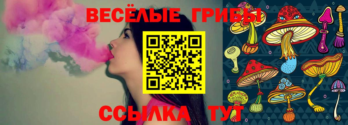 Псилоцибиновые грибы Psilocybine cubensis  Псилоцибиновые грибы мицелий  Вход с VPN  Белая Калитва 